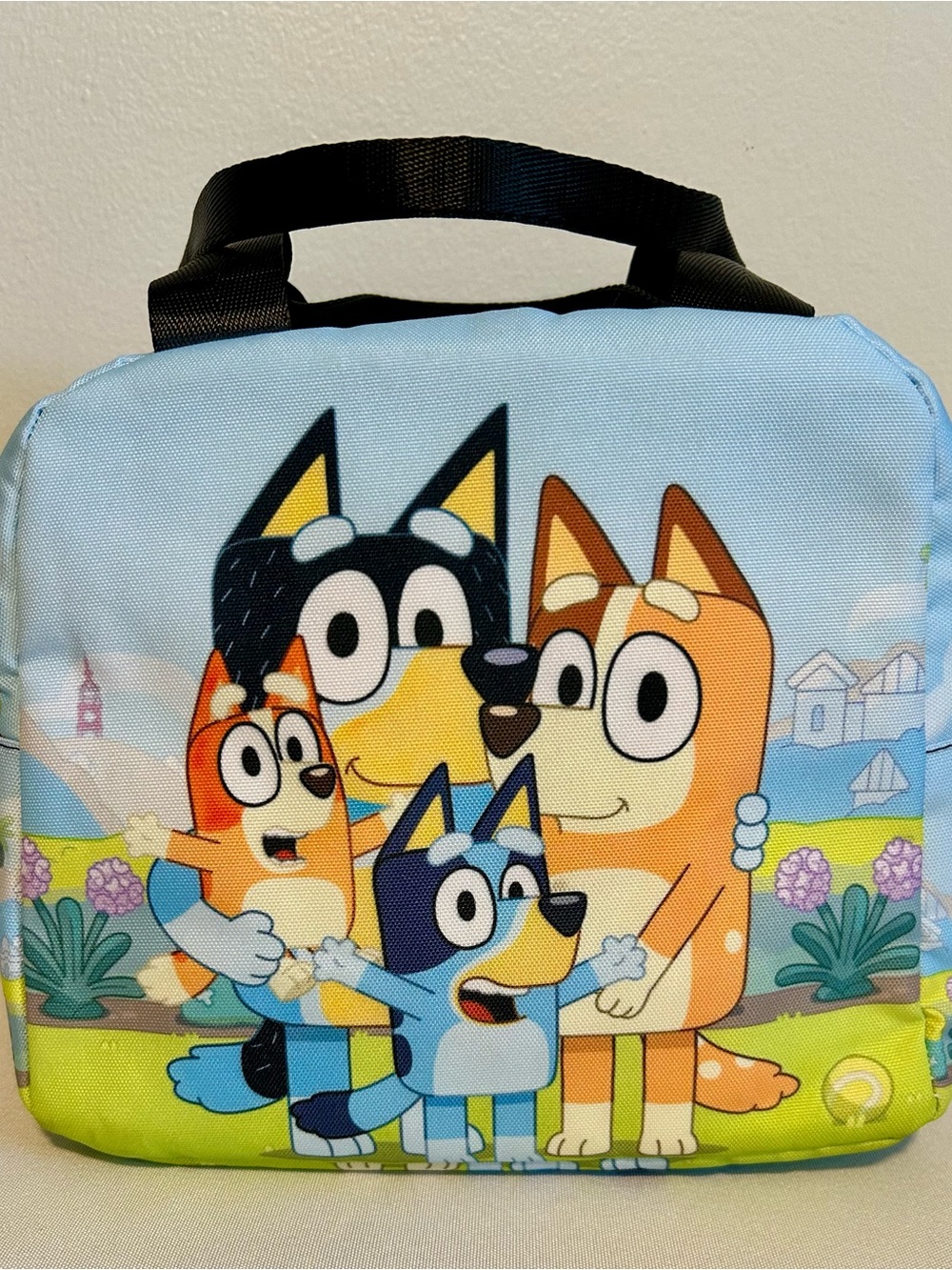 Bluey insulated lunch box